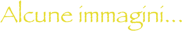 Alcune immagini...